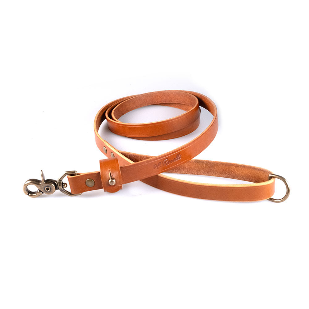 Correa para perros Roselli - con lazo para la mano