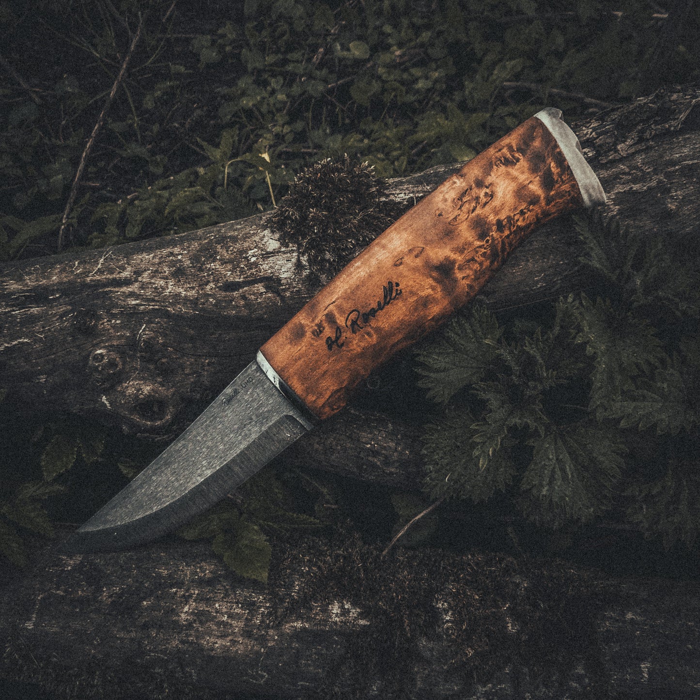 Handmade Finnish hunting knife from Roselli in model "Hunting knife Nalle" Comes with UHC steel and detail such as silver ferrule and reindeer antler details