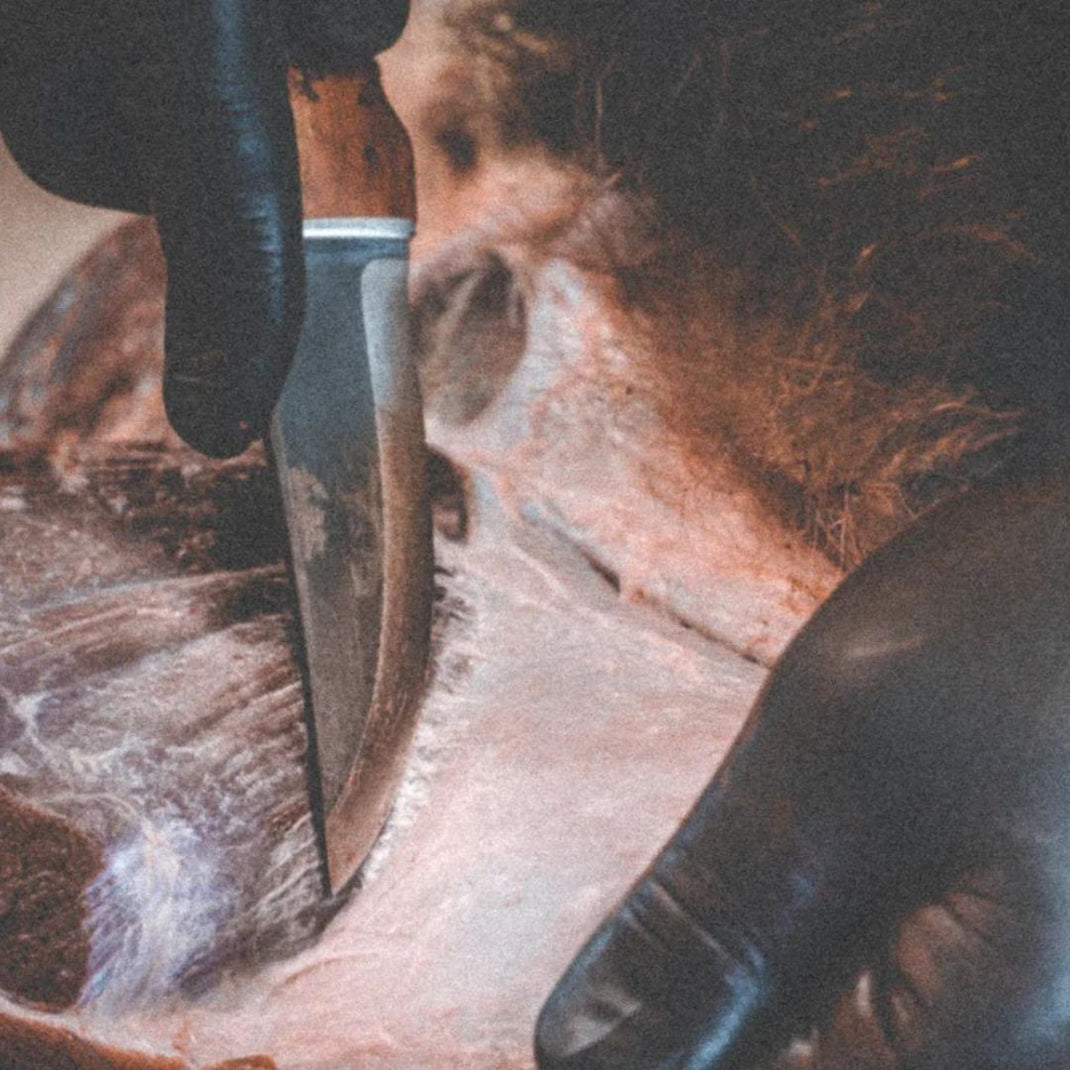 How to Use a Hunting Knife in the Wild | Roselli Finland